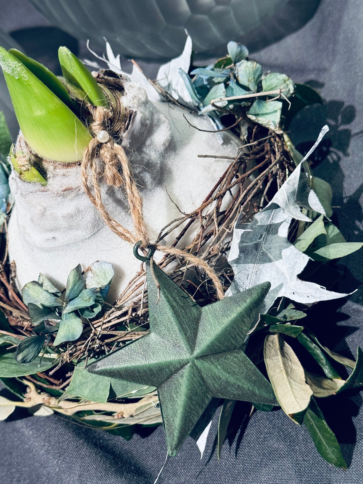 Amaryllis in Samtmantel