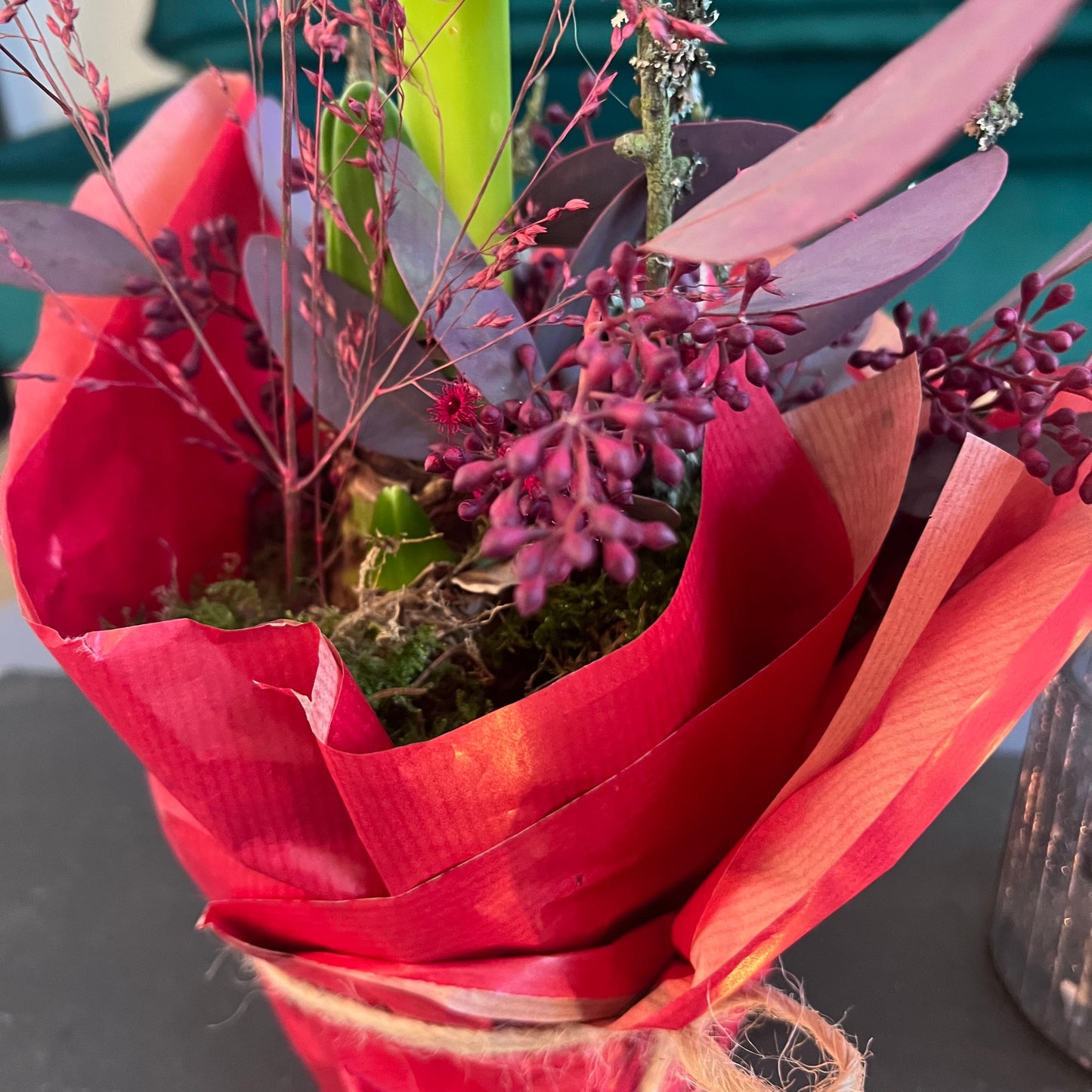 Amaryllis mit weihnachtlicher Dekoration