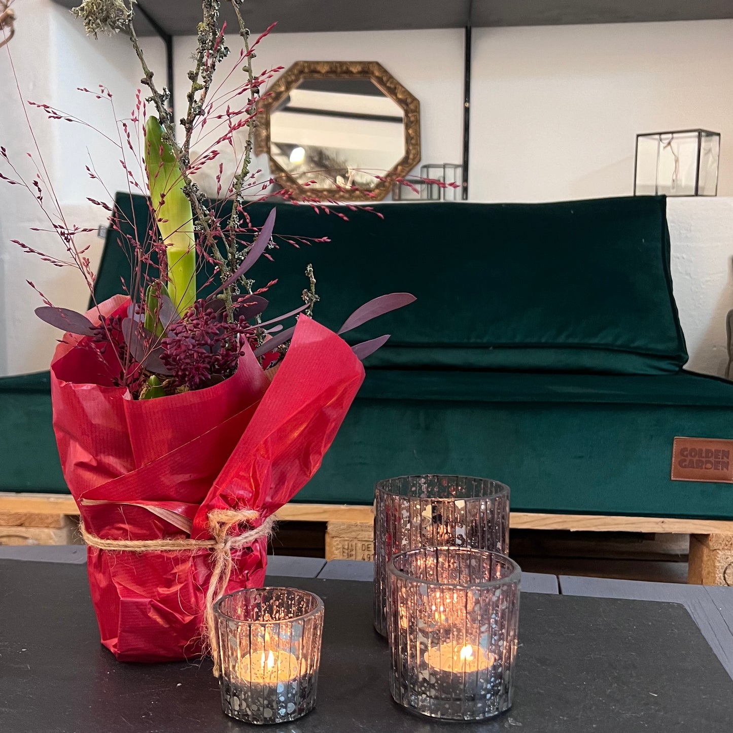 Amaryllis mit weihnachtlicher Dekoration