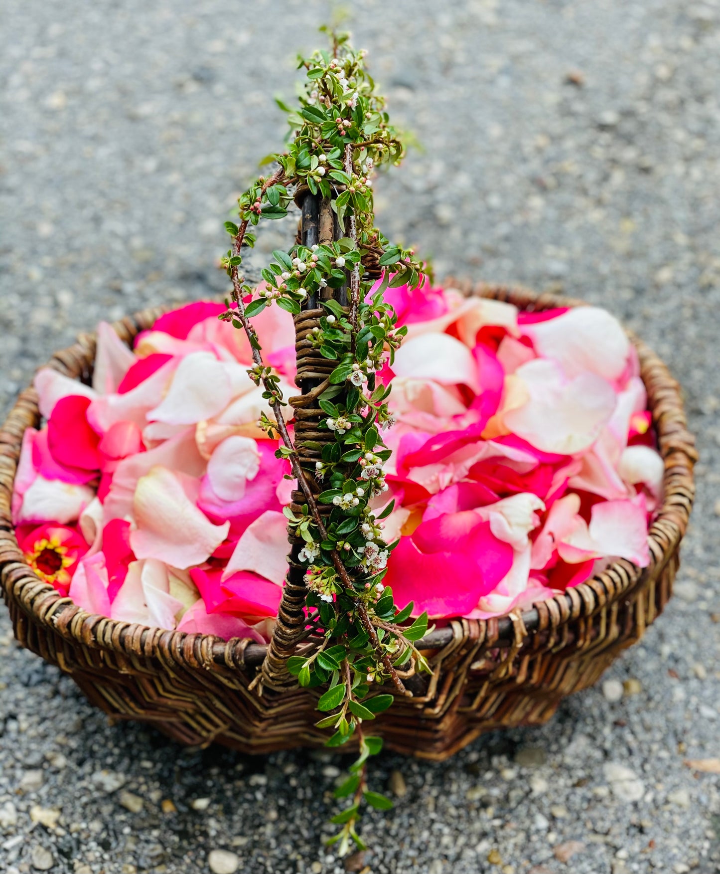 Streublumen für 25 Personen